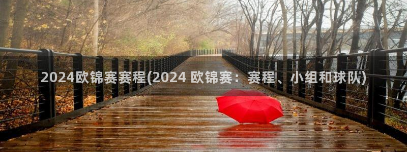 2024欧锦赛赛程(2024 欧锦赛：赛程、小组和球队)